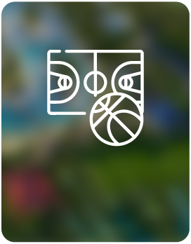 SPORTS COURT
